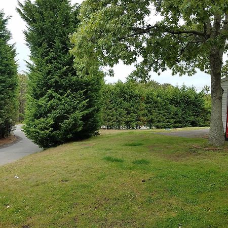 Sea Haven Resort Motel Southampton Exterior foto